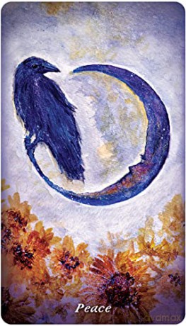 Earthly Souls and Spirits Moon Oracle - Terri Foss [KSIĄŻKA]