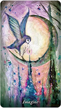Earthly Souls and Spirits Moon Oracle - Terri Foss [KSIĄŻKA]