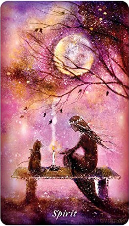 Earthly Souls and Spirits Moon Oracle - Terri Foss [KSIĄŻKA]