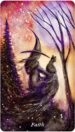 Earthly Souls and Spirits Moon Oracle - Terri Foss [KSIĄŻKA]