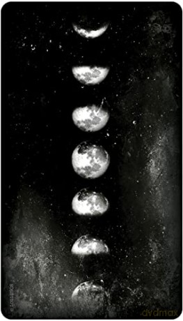 Earthly Souls and Spirits Moon Oracle - Terri Foss [KSIĄŻKA]