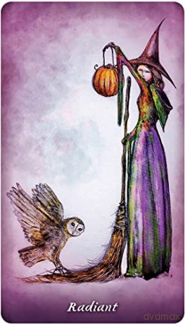 Earthly Souls and Spirits Moon Oracle - Terri Foss [KSIĄŻKA]