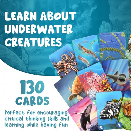 Ecosystem Coral Reef | Animals, Educational and Environmental Game | Card Game [KSIĄŻKA]