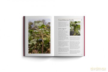 Edible Garden: Bloom Gardener's Guide: Feed the ground, sow seed, care for the crops, gather, pick and feast (7) - Vicky Chown [KSIĄŻKA]