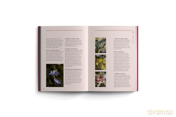 Edible Garden: Bloom Gardener's Guide: Feed the ground, sow seed, care for the crops, gather, pick and feast (7) - Vicky Chown [KSIĄŻKA]