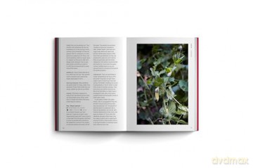 Edible Garden: Bloom Gardener's Guide: Feed the ground, sow seed, care for the crops, gather, pick and feast (7) - Vicky Chown [KSIĄŻKA]