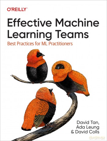 Effective Machine Learning Teams: Best Practices for Ml Practitioners - David Tan [KSIĄŻKA]