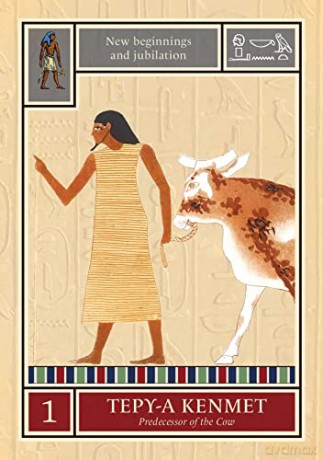 Egyptian Star Oracle: (42 Gilded Cards, 144-Page Full-Color Guidebook and Eye of Horus Charm) - Travis McHenry [KSIĄŻKA]