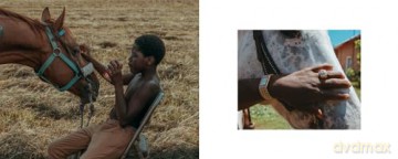 Eight Seconds: Black Rodeo Culture: Photographs by Ivan McClellan - Ivan McClellan [KSIĄŻKA]