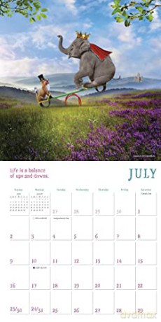 Elefantasy 12-Month 2023 Calendar (MINI 12 MONTH) - Nobleworks [KALENDARZ]