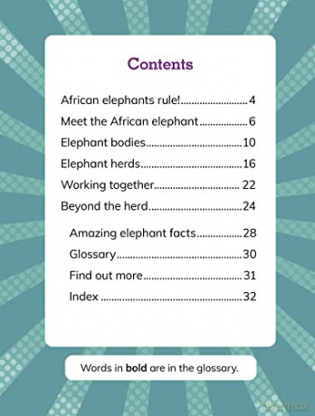 Elephant Cows: Heads of the Herd (Queens of the Animal World) - Maivboon Sang [KSIĄŻKA]