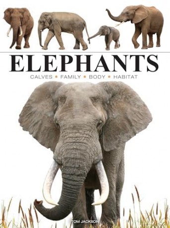 Elephants (Mini Animals) - Tom Jackson [KSIĄŻKA]