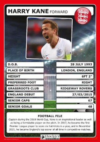 England Football Superstars Poster Set - Badger Learning [KSIĄŻKA]