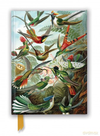Ernst Haeckel: Hummingbirds (Foiled Journal) (Flame Tree Notebooks) - Flame Tree Studio [KALENDARZ]