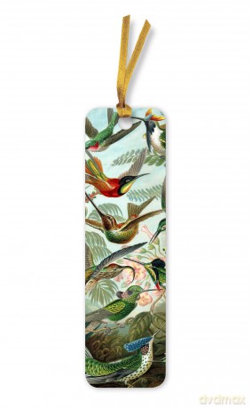 Ernst Haeckel: Hummingbirds Bookmarks (pack of 10) - Flame Tree Studio [KSIĄŻKA]