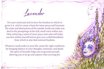 Essential Oils Oracle Cards: Wisdom and Guidance from 40 Healing Plants - Dennis Moeck [KSIĄŻKA]