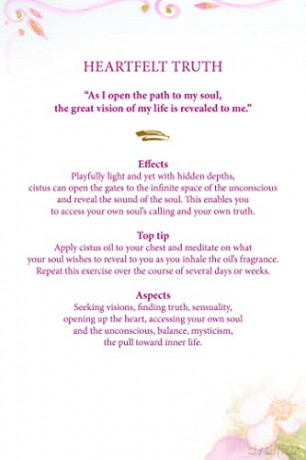 Essential Oils Oracle Cards: Wisdom and Guidance from 40 Healing Plants - Dennis Moeck [KSIĄŻKA]
