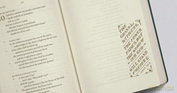 ESV Illuminated Scripture Journal: Old Testament Set: Old Testament Set - Esv [KSIĄŻKA]
