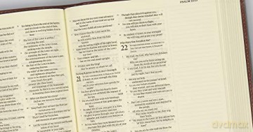 ESV Journaling Bible (Bonded Leather, Mocha, Threshold Design): ESV Journaling Bible Mocha,Bonded Leather,Threshold Design - Esv [KSIĄŻKA]