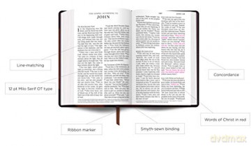 ESV Large Print Personal Size Bible, Brown: English Standard Version, Brown, Engraved Mantel, Trutone, Personal Size - Esv [KSIĄŻKA]