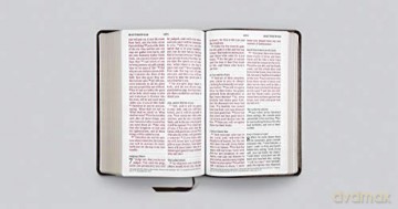 ESV Large Print Personal Size Bible, Brown: English Standard Version, Brown, Engraved Mantel, Trutone, Personal Size - Esv [KSIĄŻKA]