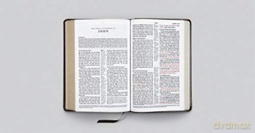 ESV New Classic Reference Bible (TruTone, Coffee): English Standard Version, Coffee Trutone New Classic Reference Bible - Crossway Bibles [KSIĄŻKA]