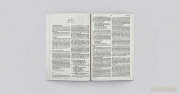 ESV Outreach New Testament, Paperback, Blue: English Standard Version Outreach New Testament, Blue - Esv [KSIĄŻKA]