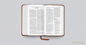 ESV Pocket Bible, Chestnut: Esvbible Trutone, Chestnut - Esv [KSIĄŻKA]