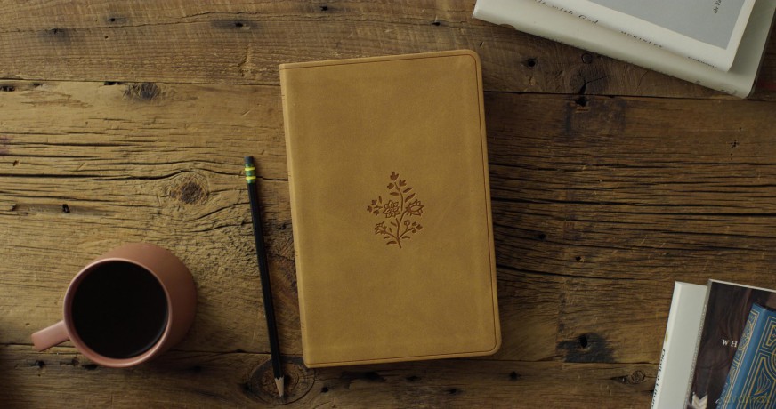 ESV Premium Gift Bible (TruTone, Nubuck Caramel, Wildflower Design): English Standard Version, Nubuck Caramel, Trutone, Wildflower Design, Premium Gift Bible - Esv [KSIĄŻKA]