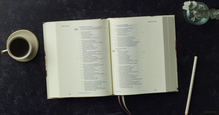 ESV Single Column Journaling Bible, Hosanna Revival Series (Hardcover, Madeleine Design): Esv Single Column Journaling Bible, Madeleine Design - Esv [KSIĄŻKA]