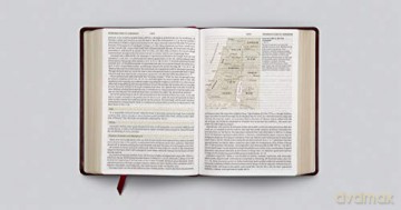 ESV Study Bible, Large Print, Trutone, Mahogany: English Standard Version Mahogany Trutone Trellis Design - Esv [KSIĄŻKA]