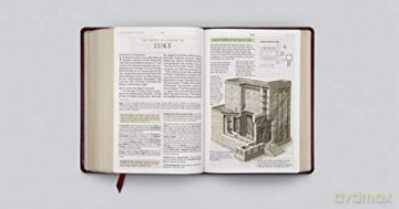 ESV Study Bible, Large Print, Trutone, Mahogany: English Standard Version Mahogany Trutone Trellis Design - Esv [KSIĄŻKA]
