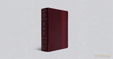 ESV Study Bible, Large Print, Trutone, Mahogany: English Standard Version Mahogany Trutone Trellis Design - Esv [KSIĄŻKA]