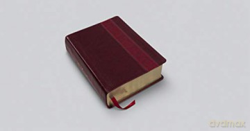 ESV Study Bible, Large Print, Trutone, Mahogany: English Standard Version Mahogany Trutone Trellis Design - Esv [KSIĄŻKA]