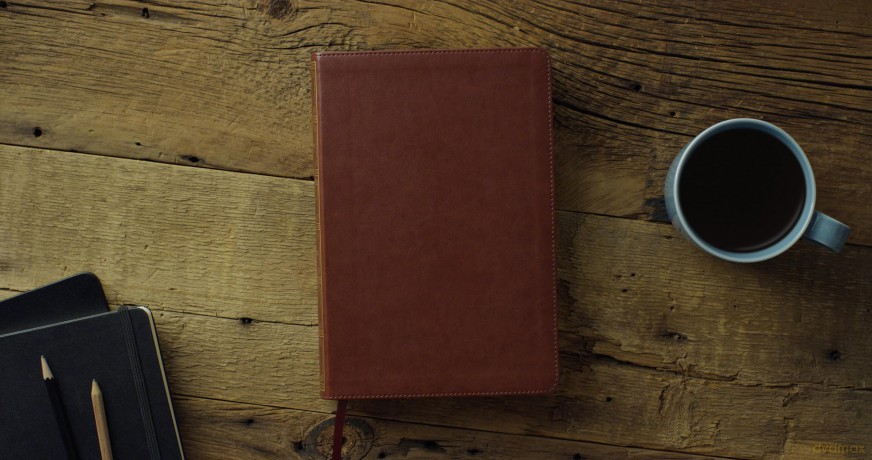 ESV Systematic Theology Study Bible: Theology Rooted in the Word of God (TruTone, Chestnut) - Esv [KSIĄŻKA]
