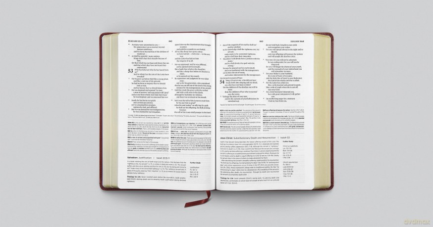 ESV Systematic Theology Study Bible: Theology Rooted in the Word of God (TruTone, Chestnut) - Esv [KSIĄŻKA]