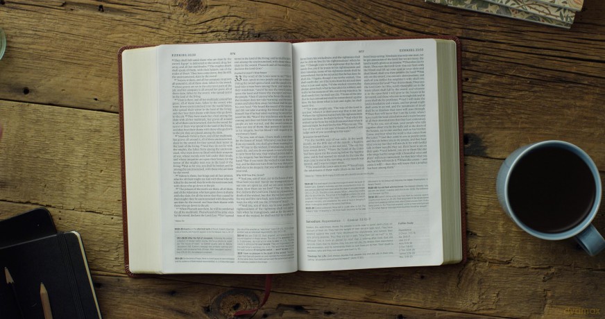 ESV Systematic Theology Study Bible: Theology Rooted in the Word of God (TruTone, Chestnut) - Esv [KSIĄŻKA]