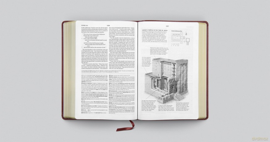 ESV Systematic Theology Study Bible: Theology Rooted in the Word of God (TruTone, Chestnut) - Esv [KSIĄŻKA]