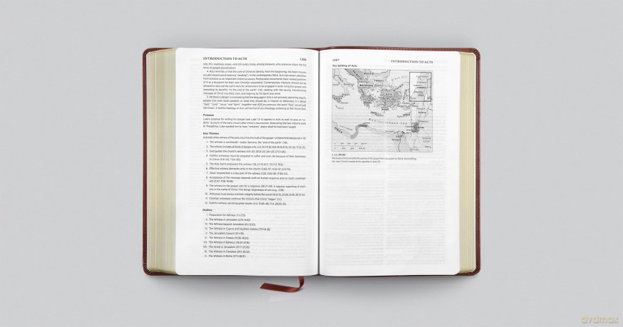 ESV Systematic Theology Study Bible: Theology Rooted in the Word of God (TruTone, Chestnut) - Esv [KSIĄŻKA]