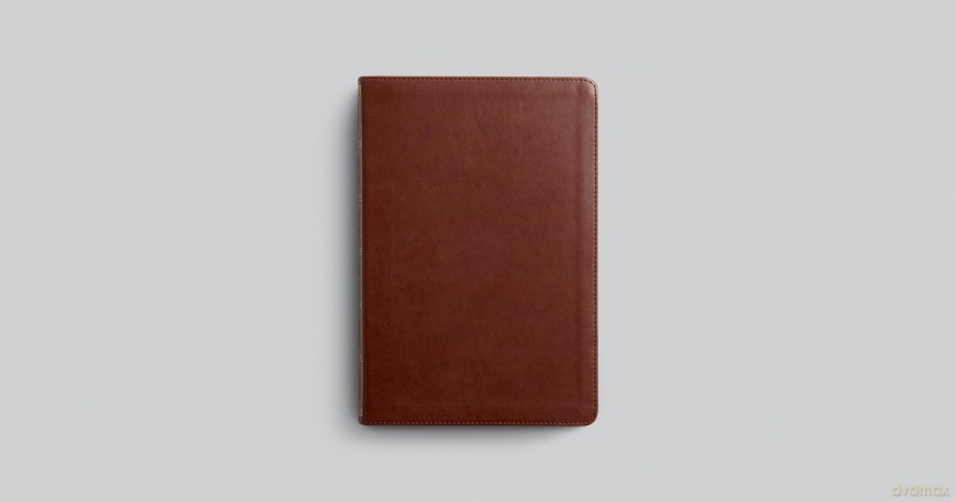 ESV Systematic Theology Study Bible: Theology Rooted in the Word of God (TruTone, Chestnut) - Esv [KSIĄŻKA]