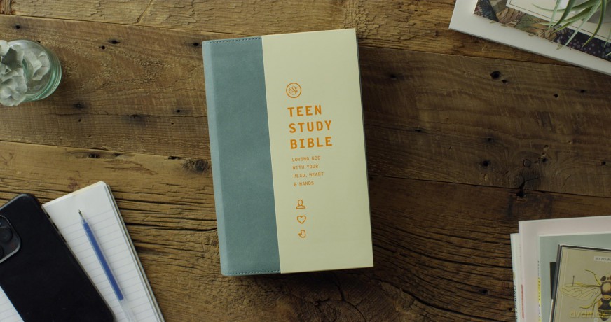 ESV Teen Study Bible (TruTone, Seaside Blue): Esv Trutone, Seaside Blue - Esv [KSIĄŻKA]
