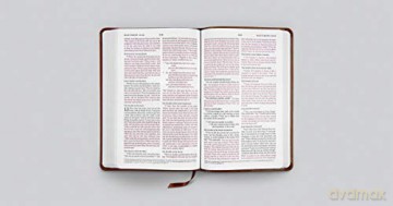 ESV Thinline Bible, Trutone, Royal Lion: English Standard Version Thinline Bible, Royal Lion, Trutone - Esv [KSIĄŻKA]