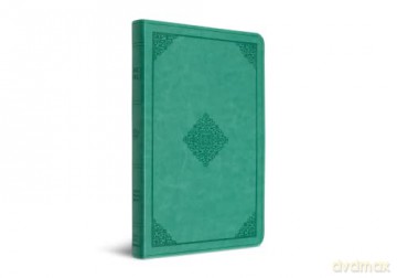 ESV Value Thinline Bible, Teal, Ornament Design: English Standard Version, Value Thinline Bible, Trutone, Teal, Ornament Design - Esv [KSIĄŻKA]