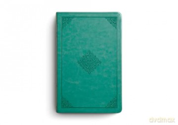 ESV Value Thinline Bible, Teal, Ornament Design: English Standard Version, Value Thinline Bible, Trutone, Teal, Ornament Design - Esv [KSIĄŻKA]