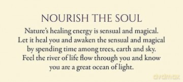 Eternal Light - Mini Oracle Cards: 55 Guidance Cards for All That You are - 55 message cards plus instruction card. - Toni Carmine Salerno [KSIĄŻKA]