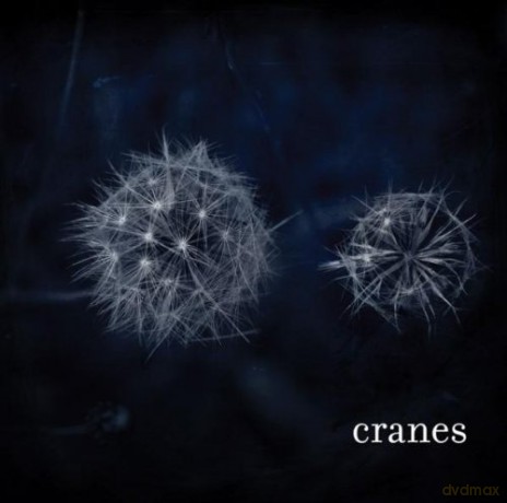 Cranes: Cranes [CD]