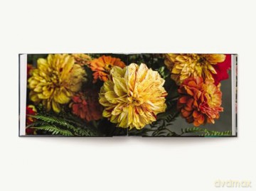 EVERYDAY BOUQUET: 52 Beautiful Arrangements for Every Season - Alex Vaughan [KSIĄŻKA]