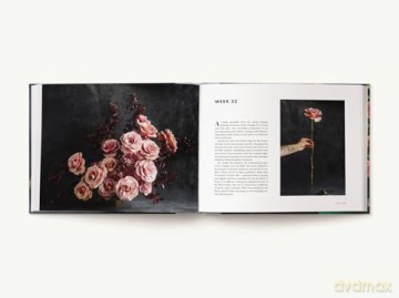 EVERYDAY BOUQUET: 52 Beautiful Arrangements for Every Season - Alex Vaughan [KSIĄŻKA]