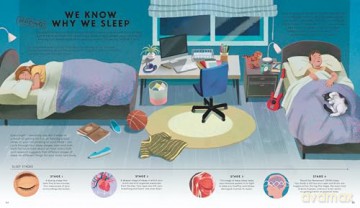 Everything You Know About the Human Body is Wrong! - Emma Young [KSIĄŻKA]