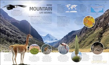 Explanatorium of the Earth: The Wonderful Workings of the Earth Explained (DK Explanatorium) - Dk [KSIĄŻKA]